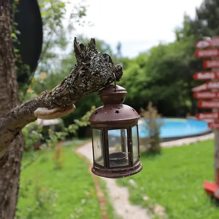 Forest Ferienhaus